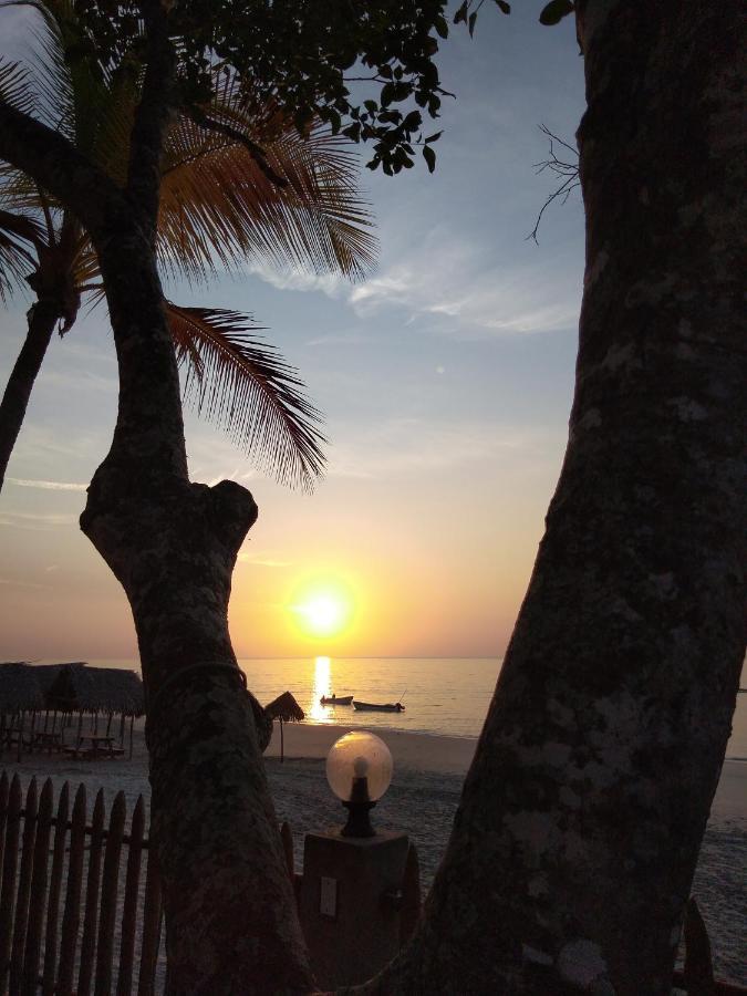 Bed & Breakfast T.T Río Hato Екстериор снимка
